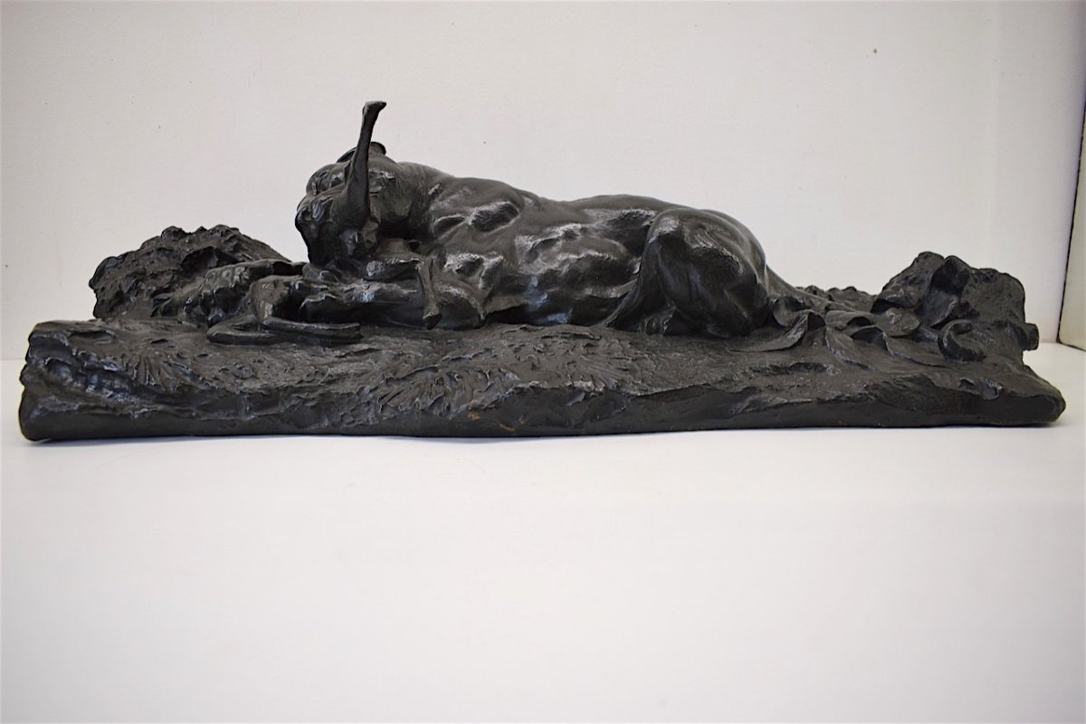 Bronze Lioness Or Tiger Devouring An Antelope Animal Bronze With Painted Patina: XIXth 77 Cm Ref181-photo-6