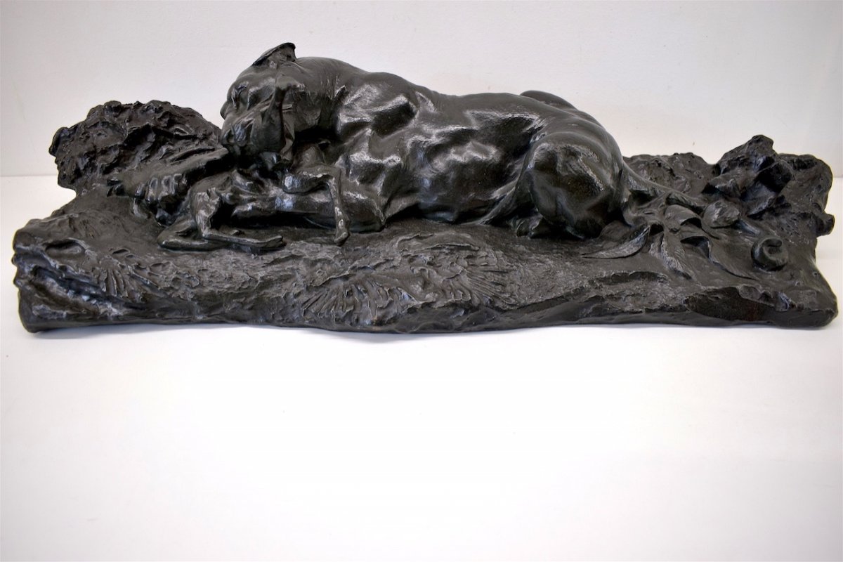 Bronze Lioness Or Tiger Devouring An Antelope Animal Bronze With Painted Patina: XIXth 77 Cm Ref181