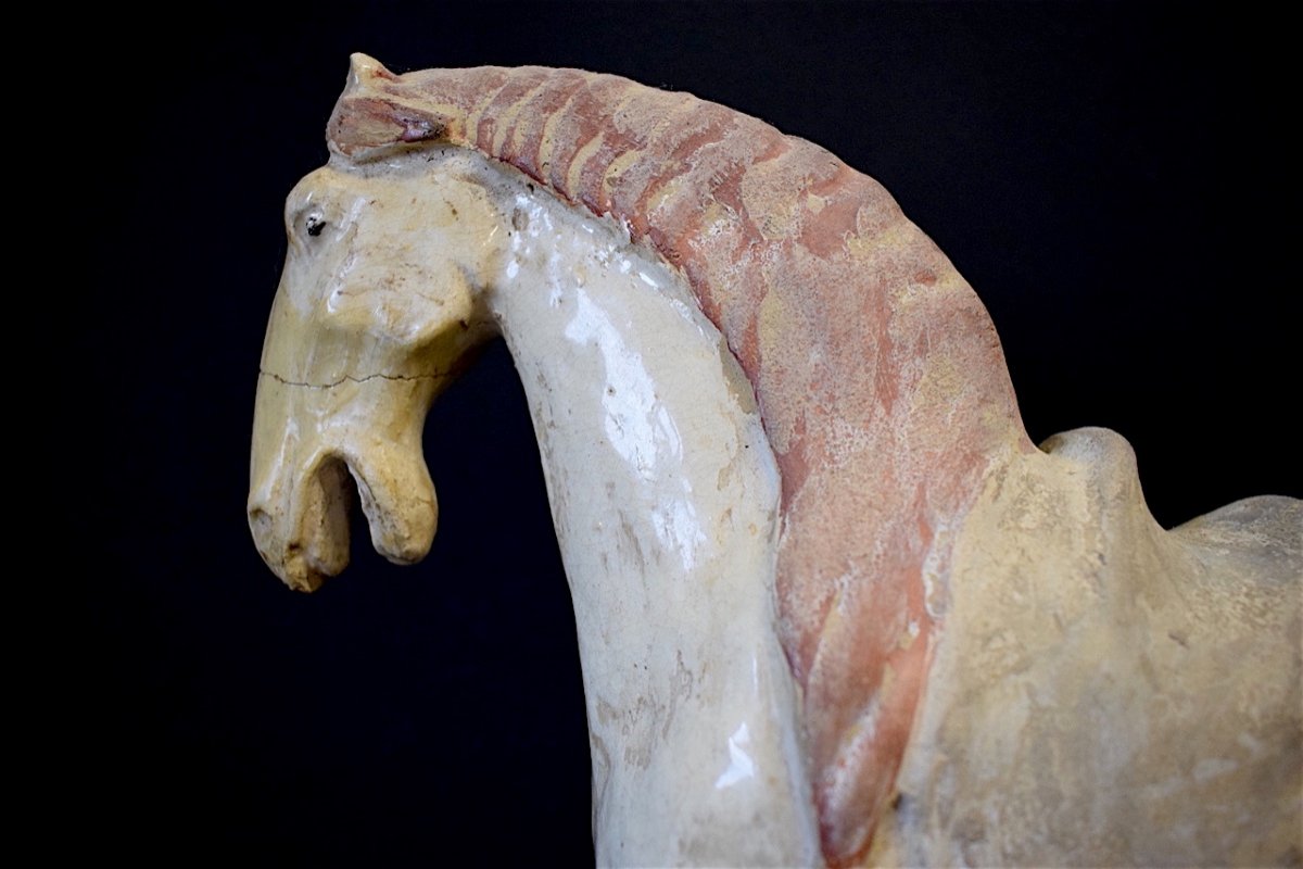 Chinese Ceramic Horse Tang Ancient White Terracotta China Chinese Chinese China Ref208-photo-3