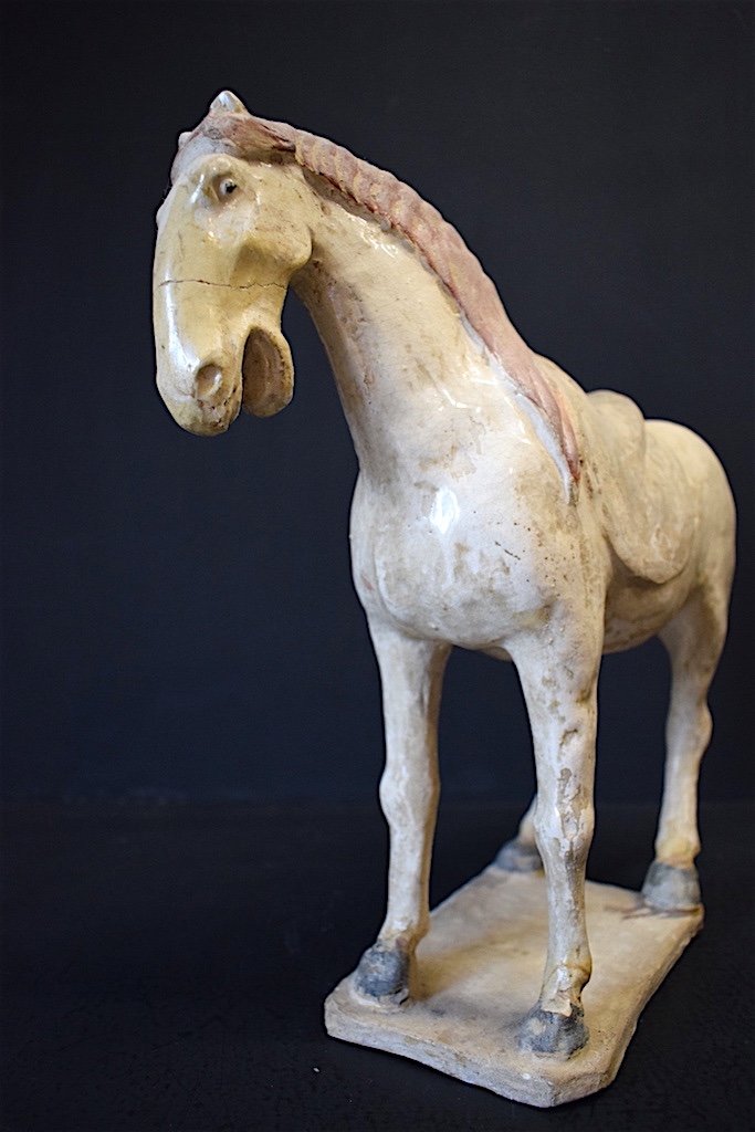 Chinese Ceramic Horse Tang Ancient White Terracotta China Chinese Chinese China Ref208-photo-1