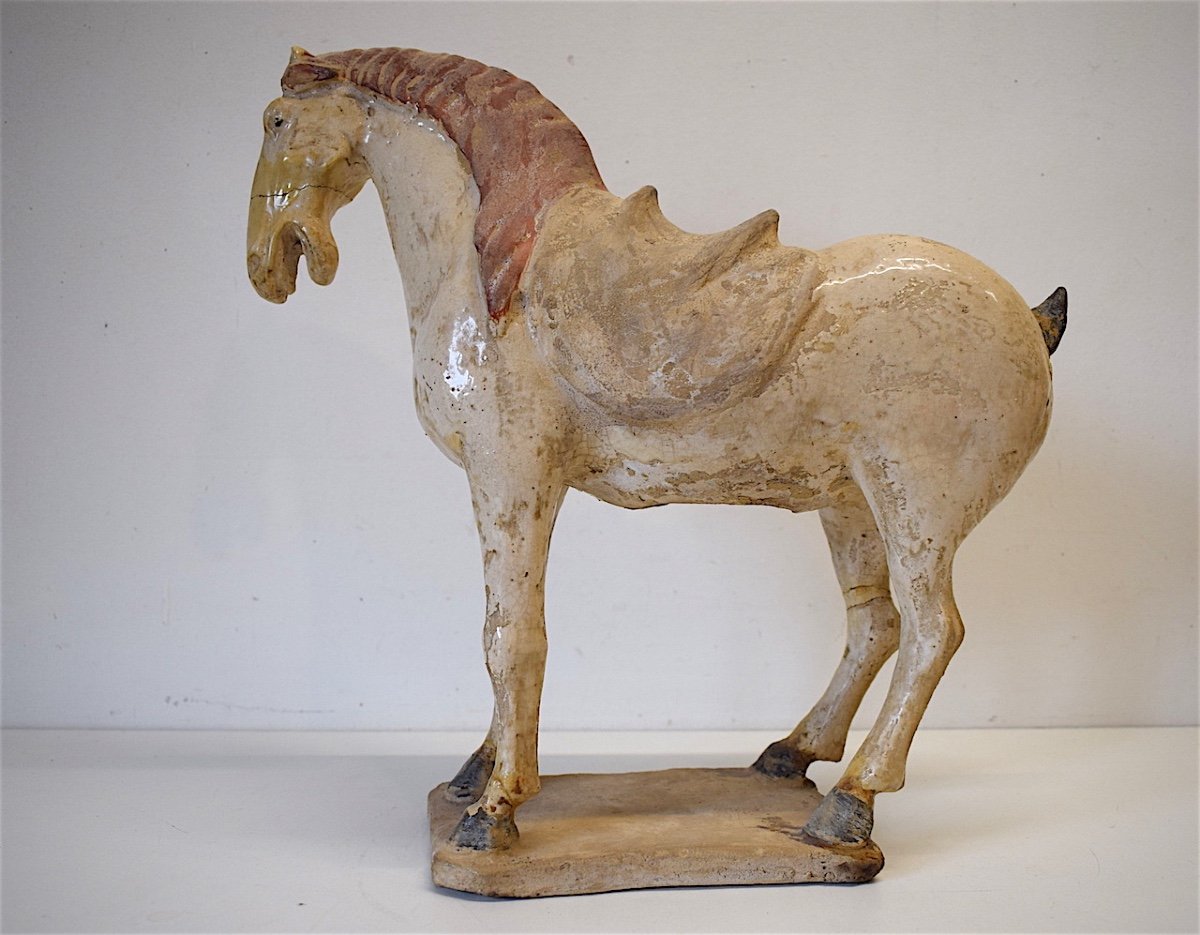 Chinese Ceramic Horse Tang Ancient White Terracotta China Chinese Chinese China Ref208