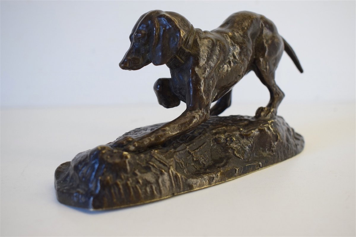 Antoine Louis Barye Bronze Animalier Chien &agrave; L&rsquo;arr&ecirc;t  Sign&eacute;  XIX &egrave;me Chasse REF224-photo-3