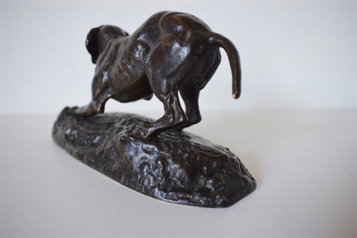 Antoine Louis Barye Bronze Animal Dog Stopping Signed XIXth Hunting Ref224-photo-3