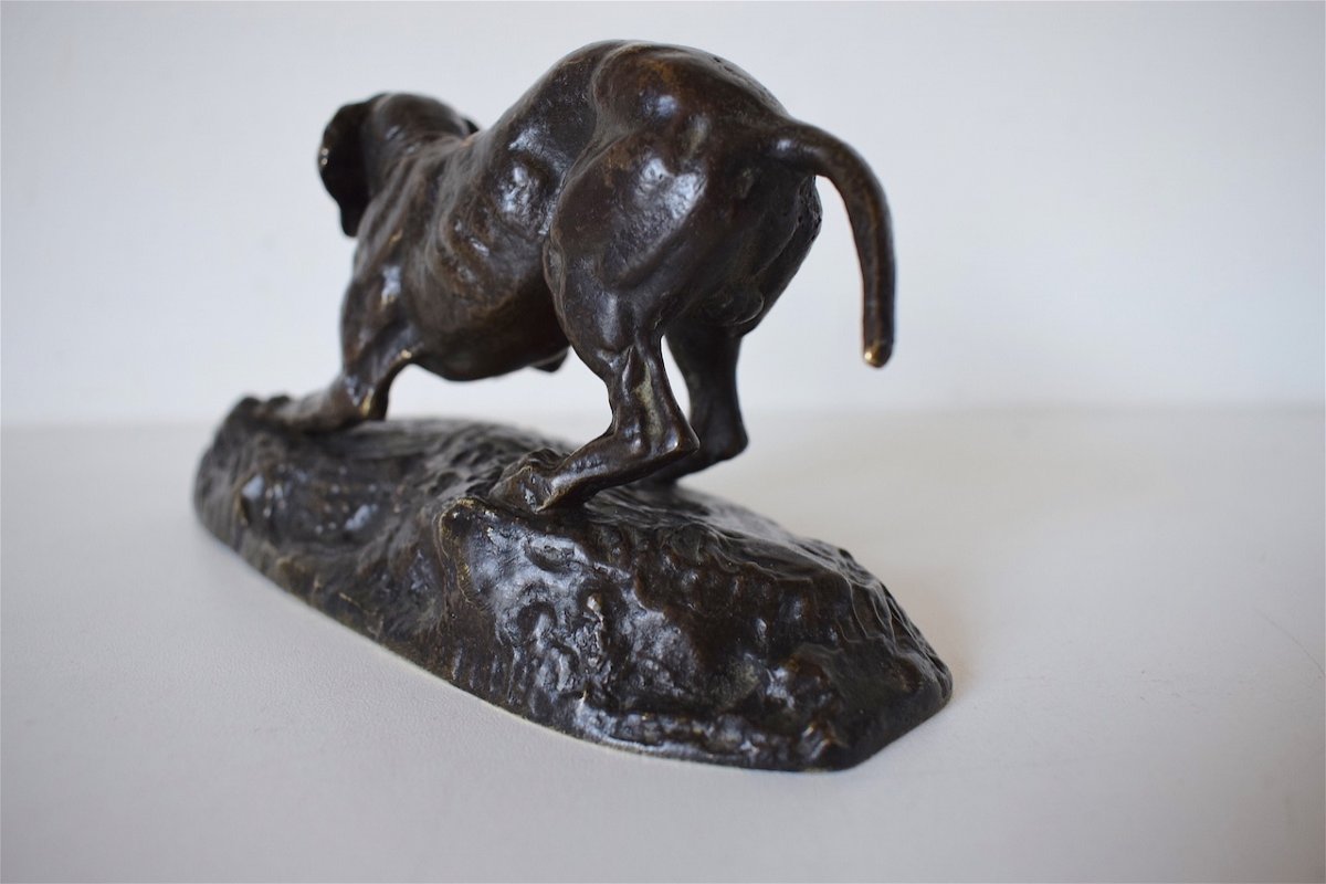 Antoine Louis Barye Bronze Animalier Chien &agrave; L&rsquo;arr&ecirc;t  Sign&eacute;  XIX &egrave;me Chasse REF224-photo-3