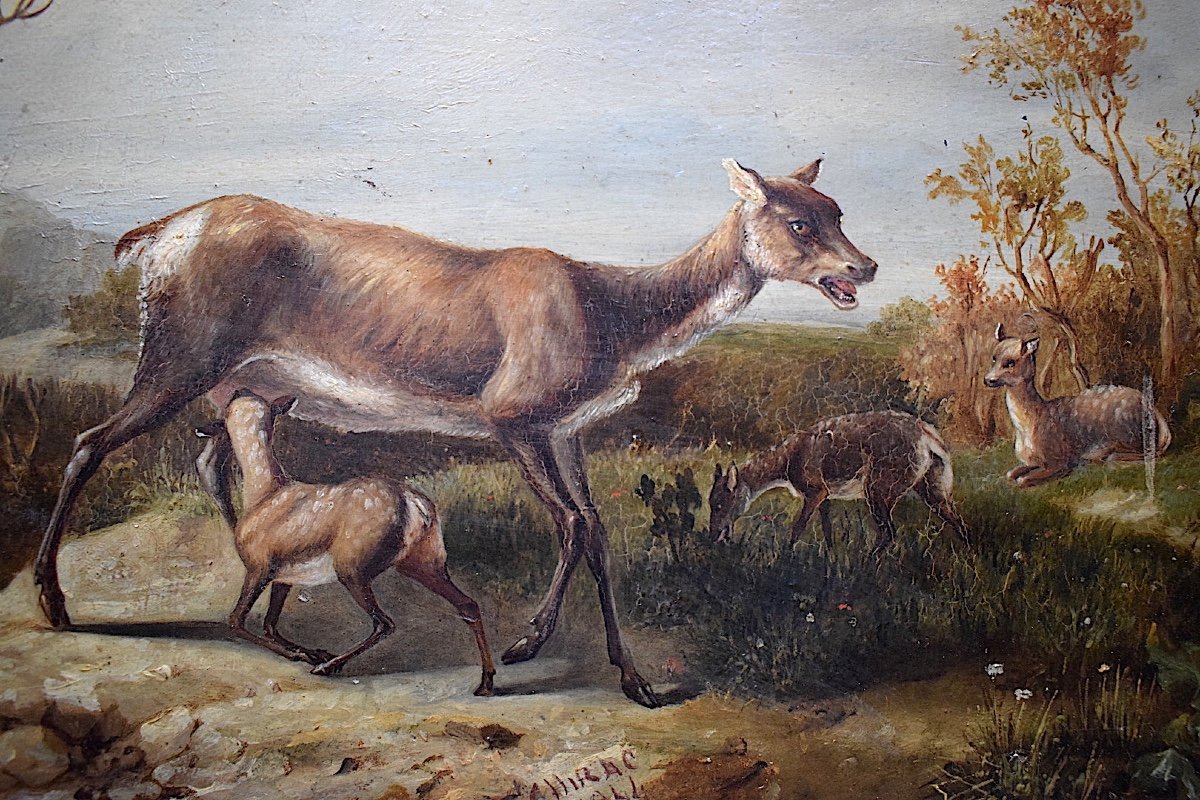 Achille D&eacute;sir&eacute; Chirac XIX 1841 Animalier Cerf Biche Chasse Faon RT459-photo-4