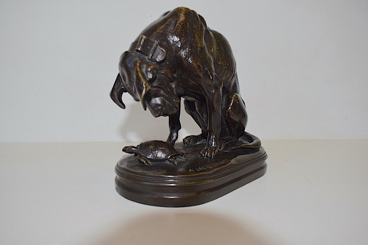 Alfred Jacquemart Animal Bronze Dog And The Turtle Fondeur Delafontaine Ref381-photo-3