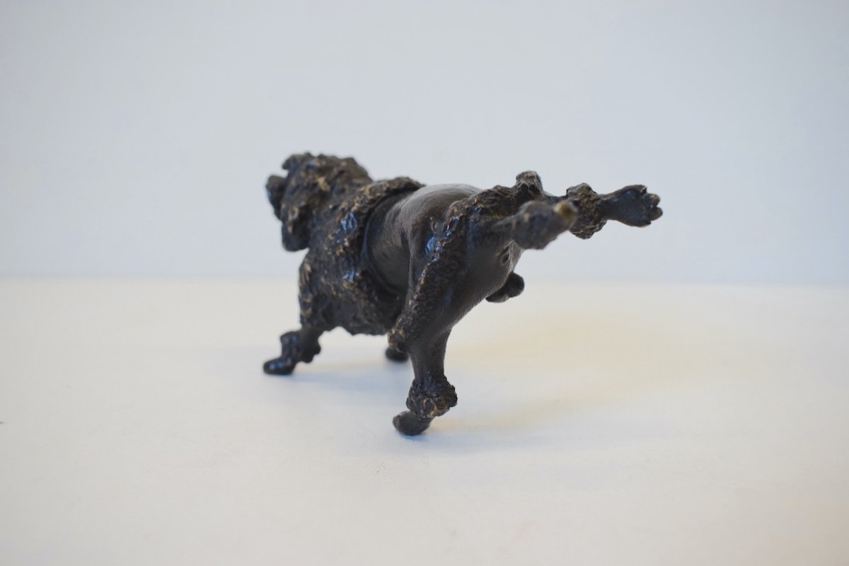 Curiosity Vienna Bronze  Dog Royal Poodle Raising The Hind Leg XIXth Ref384-photo-3