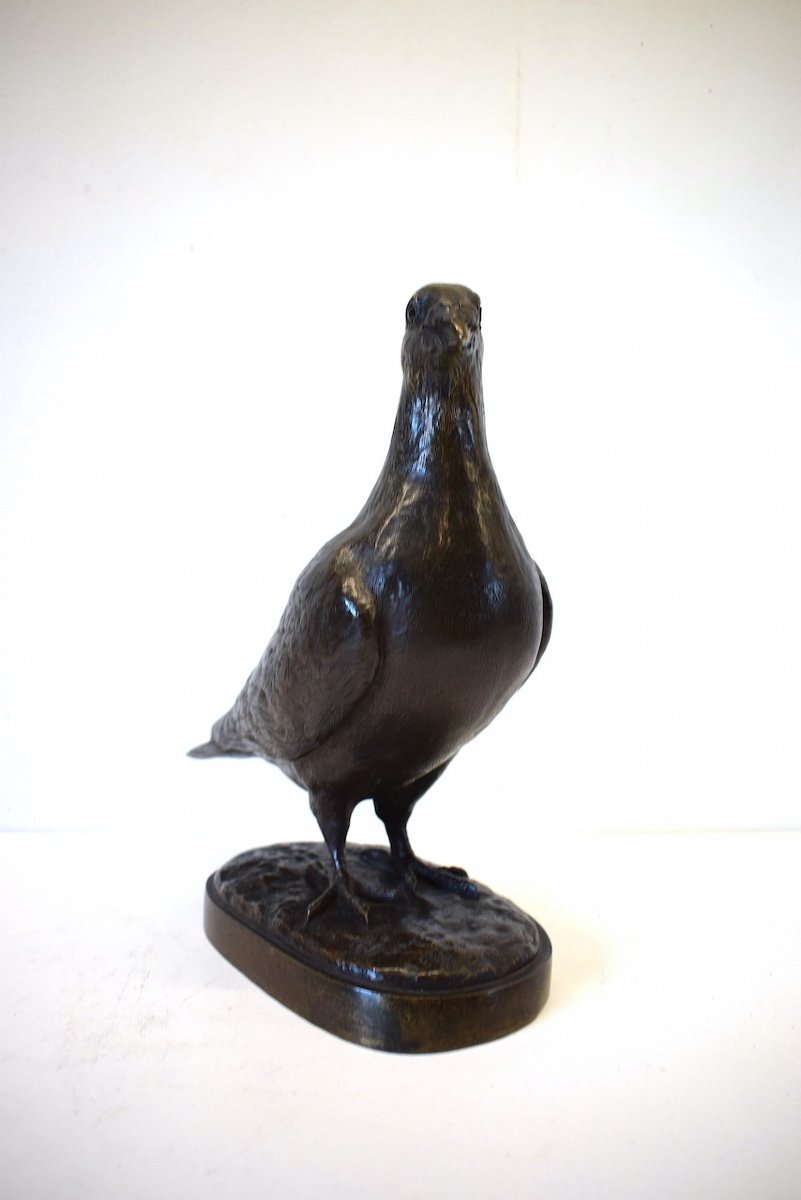 Albert Pierre LAPLANCHE XIX XX Bronze  Animalier Pigeon Bronze Oiseau  Ref388  -photo-2