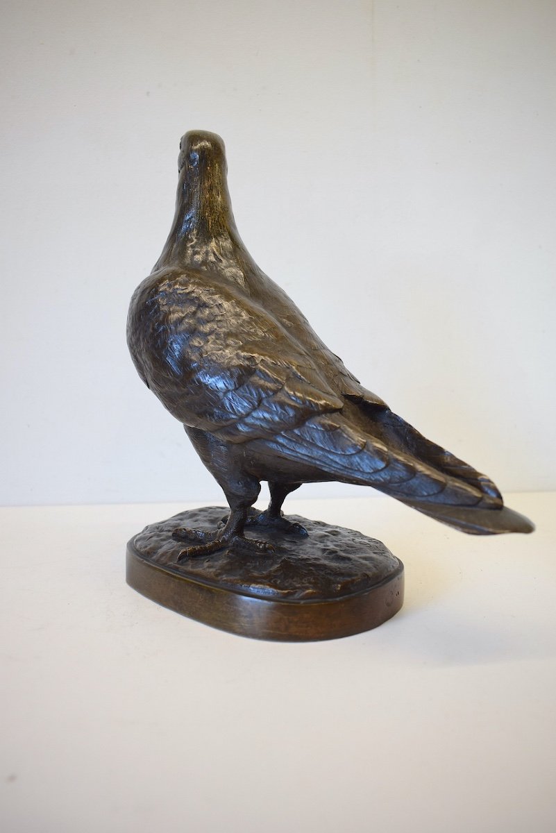 Albert Pierre LAPLANCHE XIX XX Bronze  Animalier Pigeon Bronze Oiseau  Ref388  -photo-1