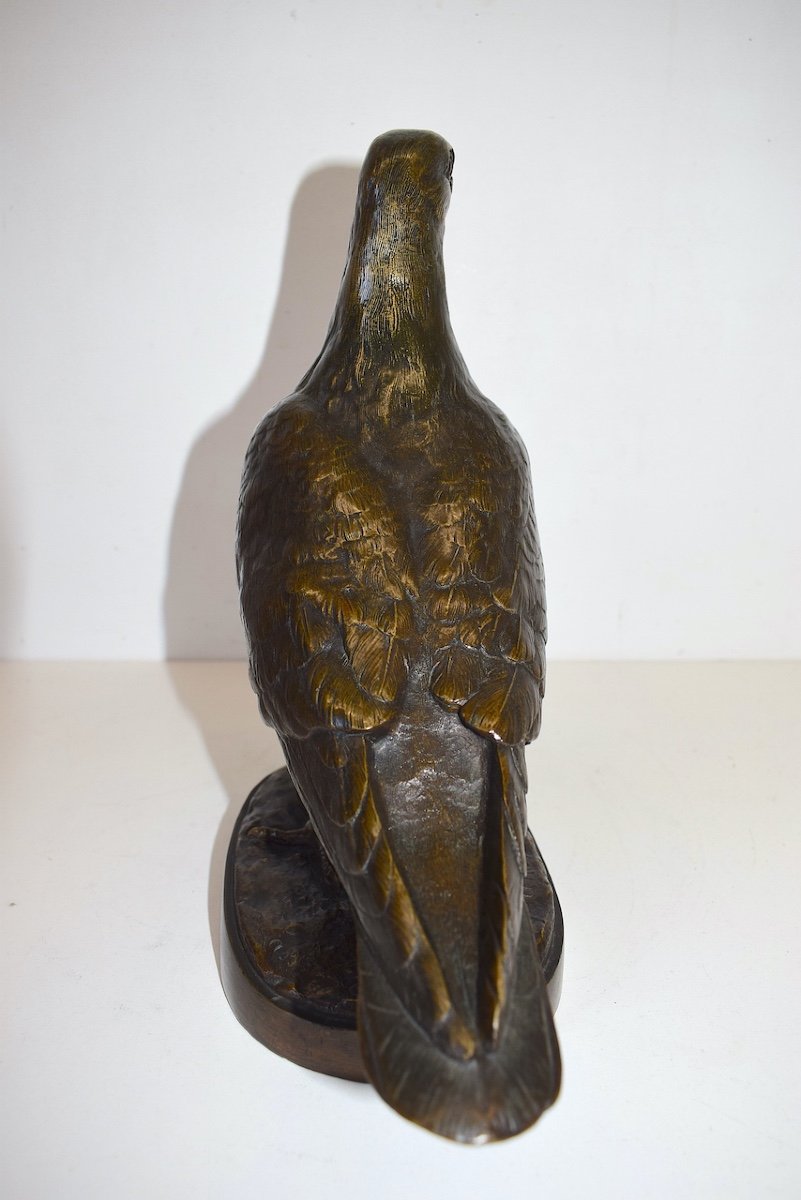 Albert Pierre LAPLANCHE XIX XX Bronze  Animalier Pigeon Bronze Oiseau  Ref388  -photo-2