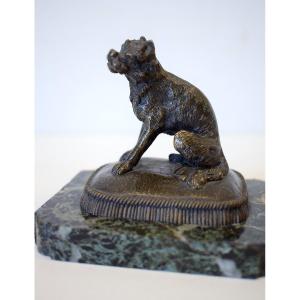 Small Animal Bronze Brussels Griffon Dog On Its Cushion 19th Century Ref412