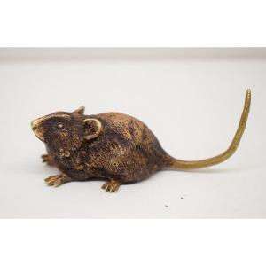 Souris  Bronze De Vienne  animalier  Signé Geschutzt XIX Gesch&uuml;tzt Mod&egrave;le D&eacute;pos&eacute; 1064 Ref550