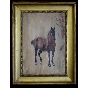 Jean HUBER dit Huber-Voltaire (1721-1786)  Suisse Étude de cheval XVIII ème siècle RT1419