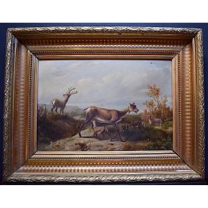 Achille D&eacute;sir&eacute; Chirac XIX 1841 Animalier Cerf Biche Chasse Faon RT459