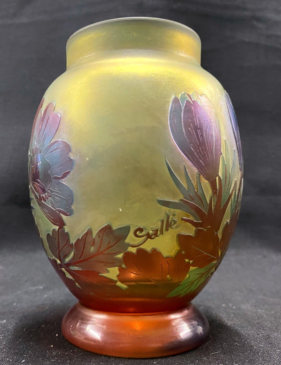 E. Gallé - Vase En Verre Multicouche Dégagé à l'Acide à Décor De Crocus - XX Ième - -photo-1