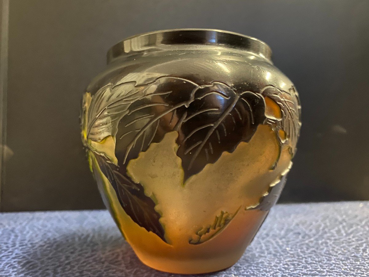 Galle- Vase En Pâte De Verre Dégagé à l'Acide à Décor d'églantiers- XX Ième-photo-2