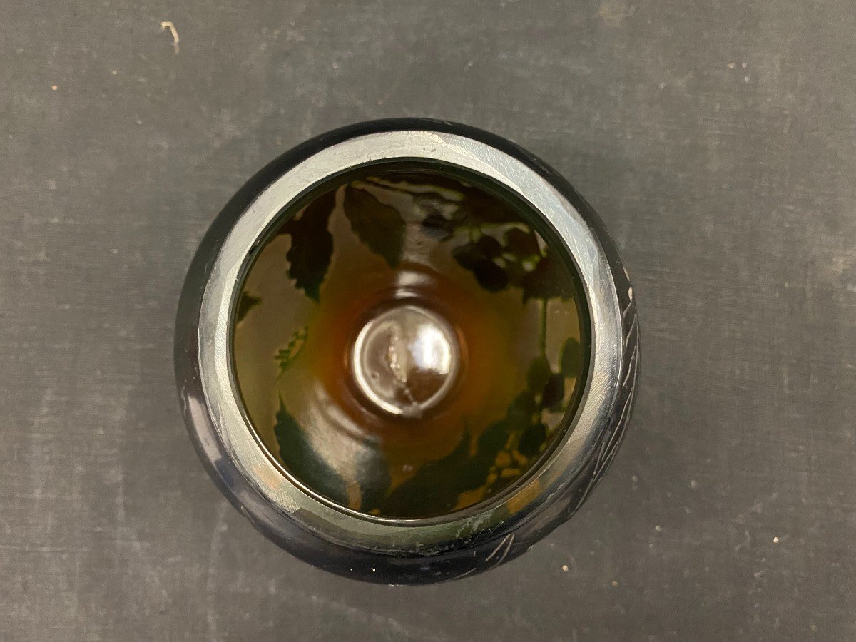 Galle- Vase En Pâte De Verre Dégagé à l'Acide à Décor d'églantiers- XX Ième-photo-1