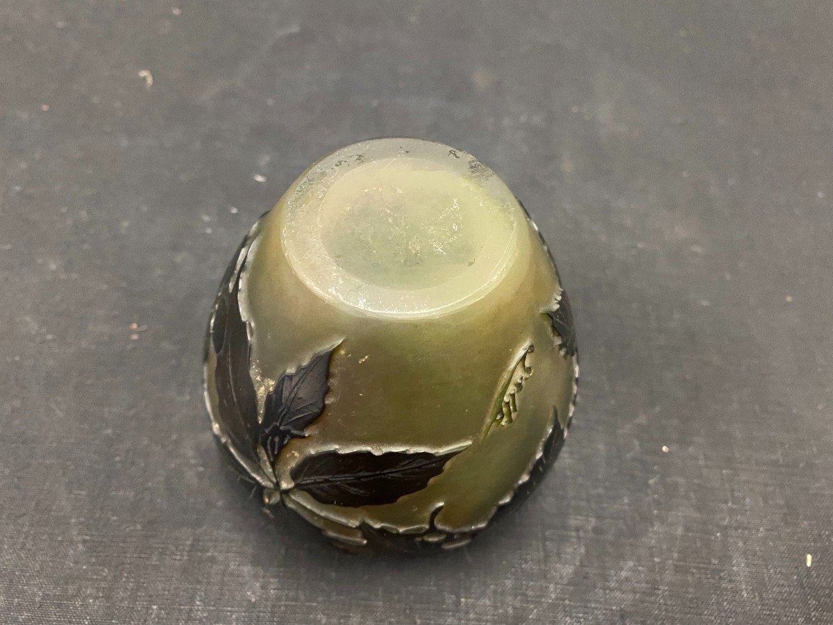 Galle- Vase En Pâte De Verre Dégagé à l'Acide à Décor d'églantiers- XX Ième-photo-2