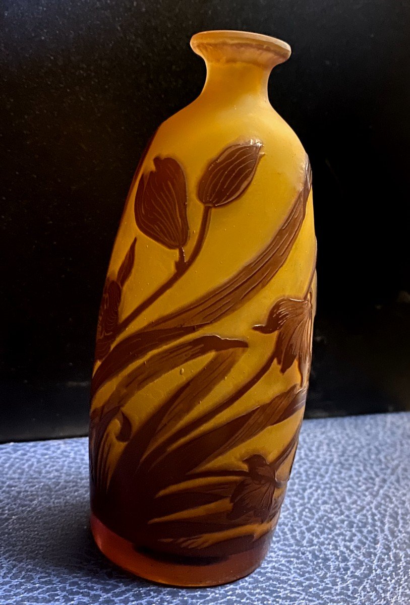 Emile Gallé (1905 - 1909) - Acid-etched Multilayer Glass Vase - XX-photo-3