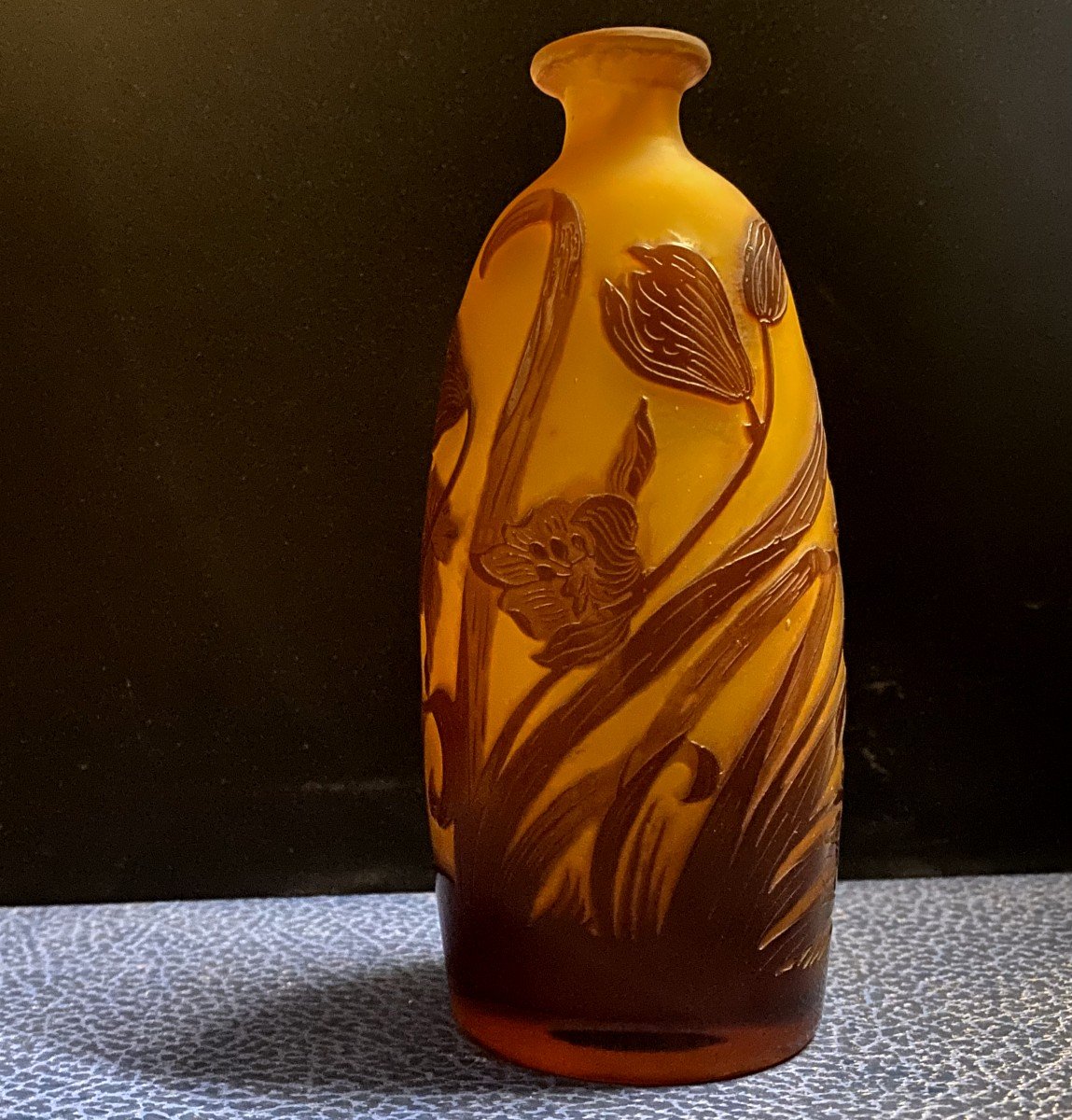 Emile Gallé (1905 - 1909) - Acid-etched Multilayer Glass Vase - XX-photo-1