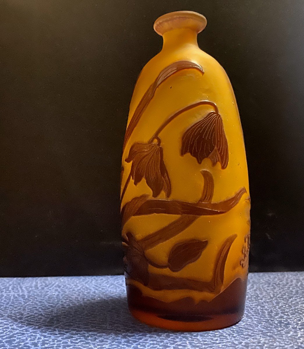 Emile Gallé (1905 - 1909) - Acid-etched Multilayer Glass Vase - XX-photo-2