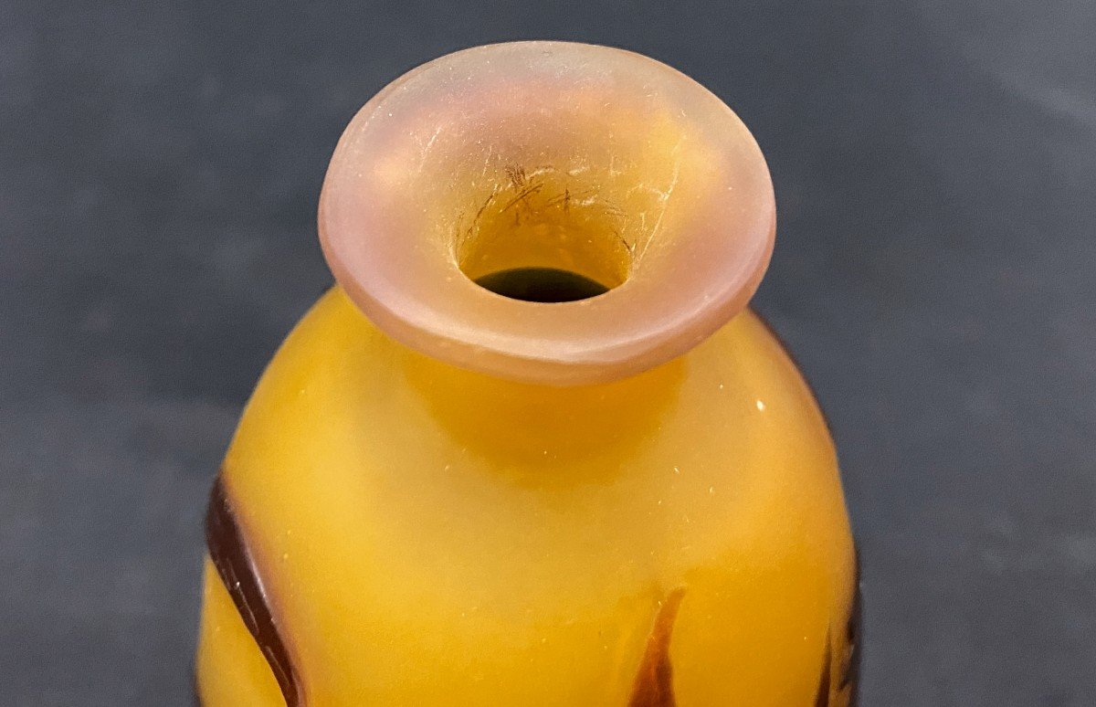 Emile Gallé (1905 - 1909) - Acid-etched Multilayer Glass Vase - XX-photo-5