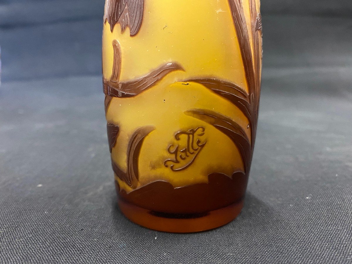 Emile Gallé (1905 - 1909) - Acid-etched Multilayer Glass Vase - XX-photo-6