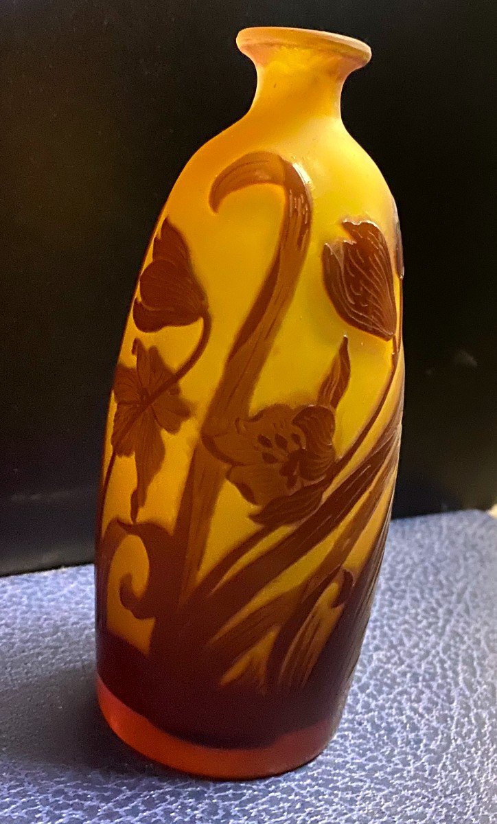 Emile Gallé (1905 - 1909) - Acid-etched Multilayer Glass Vase - XX