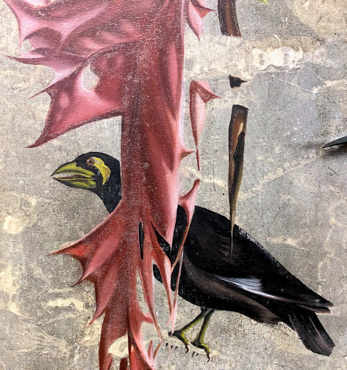 Joséphine Beaudouin - Peinture Sur Marbre Nature Morte à l'Oiseau - 20 ème-photo-3