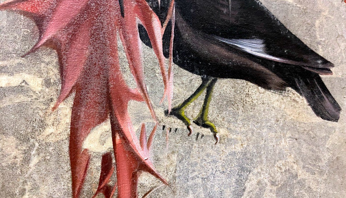 Joséphine Beaudouin - Peinture Sur Marbre Nature Morte à l'Oiseau - 20 ème-photo-5