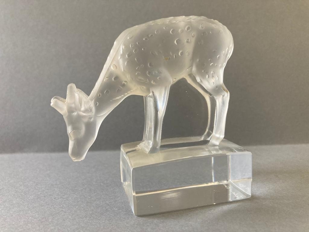 Lalique Presse-papier En Verre Moulé Chevreuil