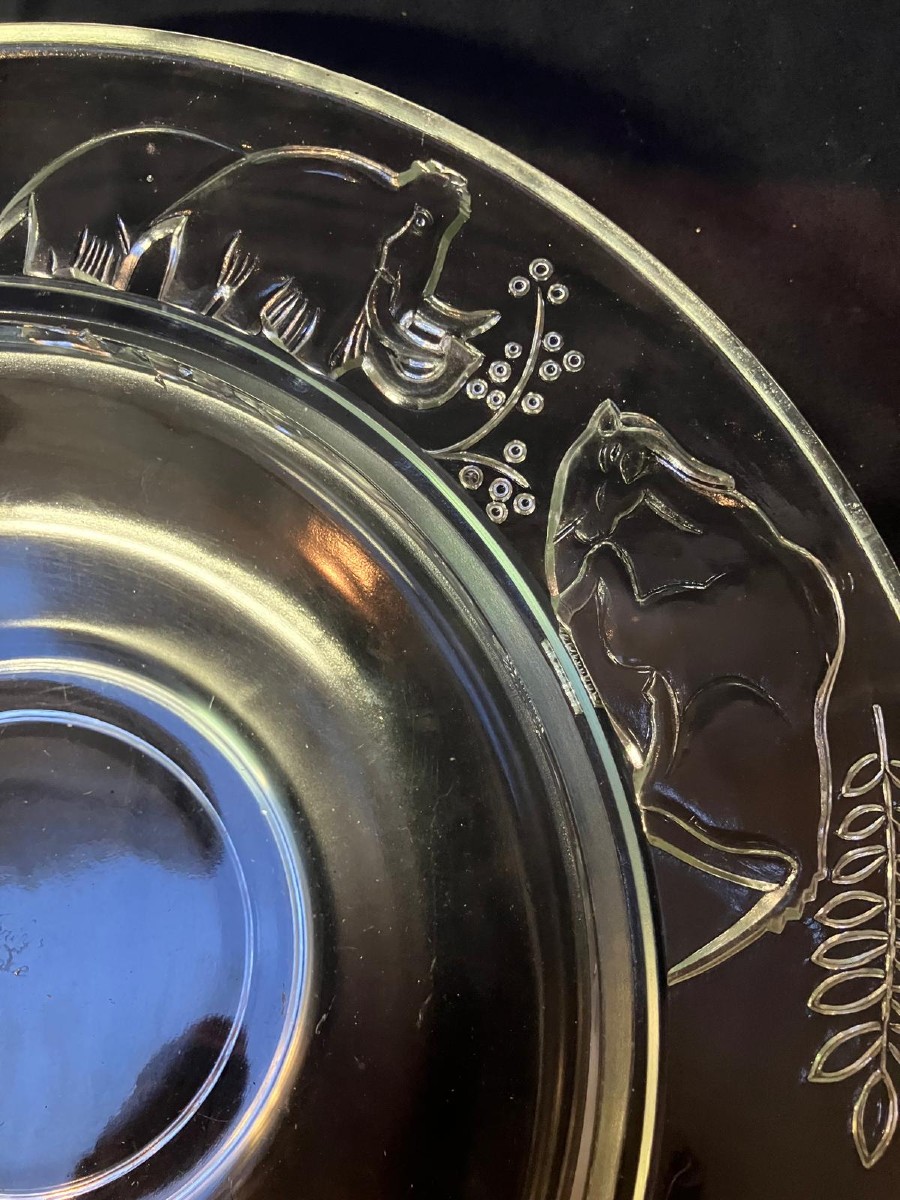 Mammoth Cup Verlys France -photo-2