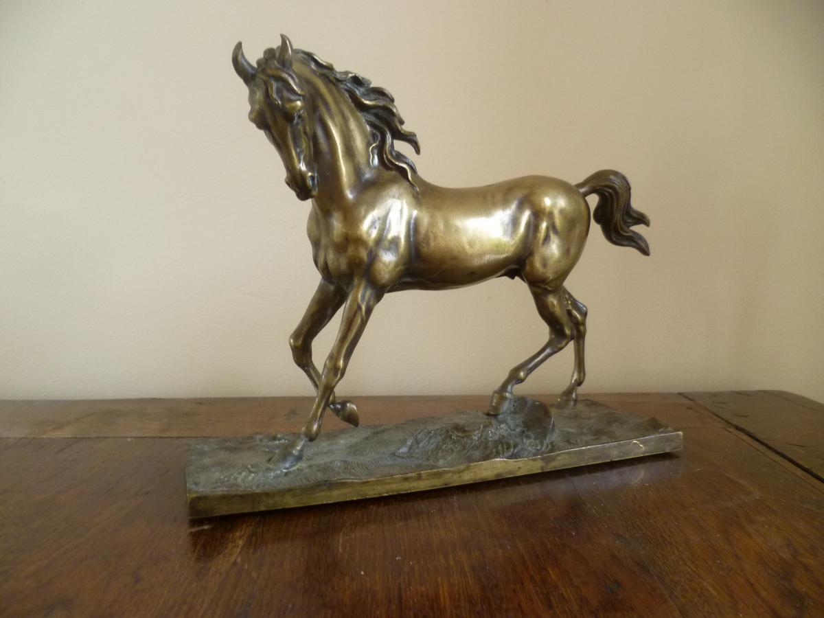 Bronze Horse-photo-4
