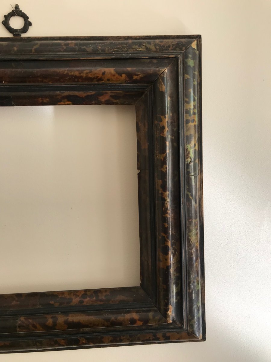 Tortoiseshell Veneer Frame-photo-4