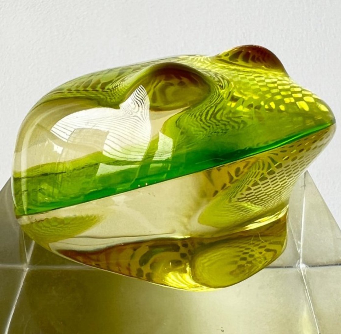 Grenouille Palatnik-photo-2
