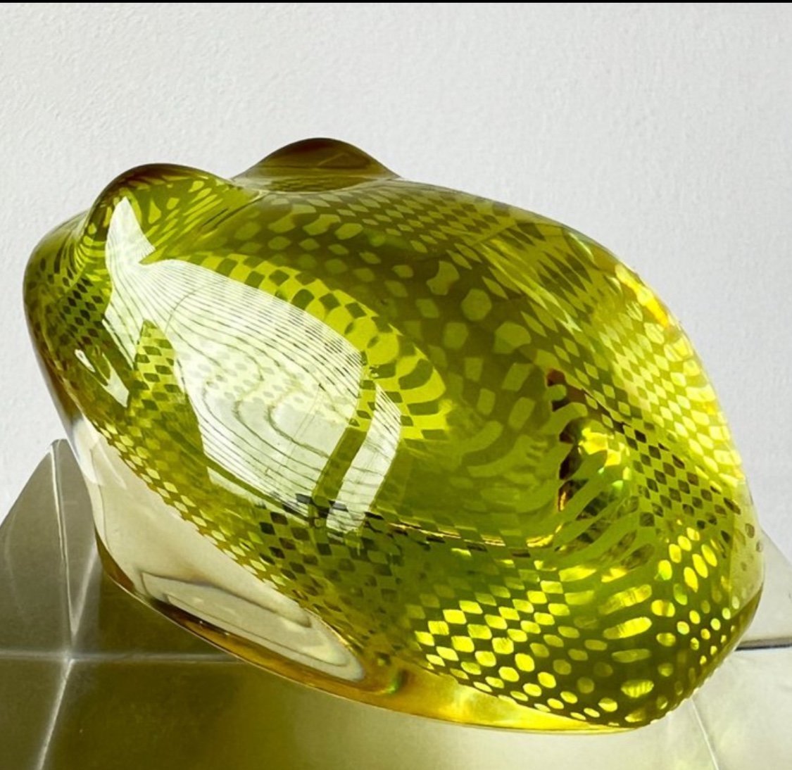 Grenouille Palatnik-photo-3