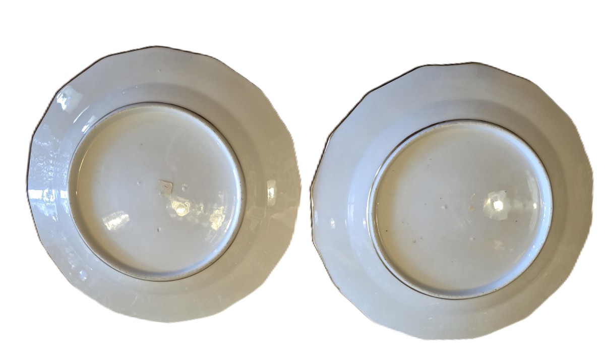 Pair Of Antique English Earthenware Plates Decorated With Flowers-photo-2