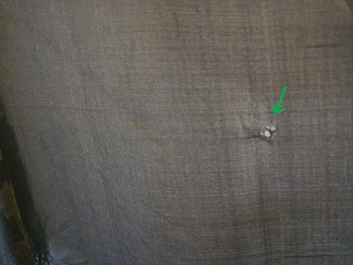 Antique Shawl In Espolined Silk Muslin-photo-8
