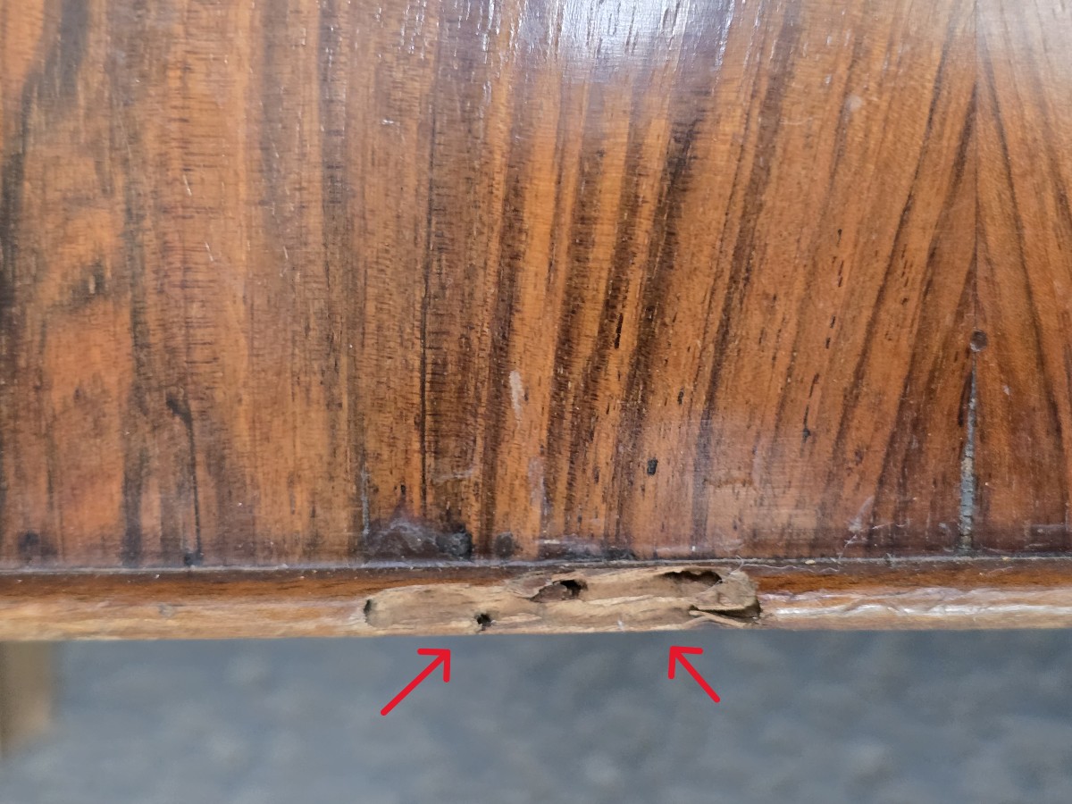 Antique Walnut Bedside Table, Italy, Empire Period, Early 19th Century-photo-8