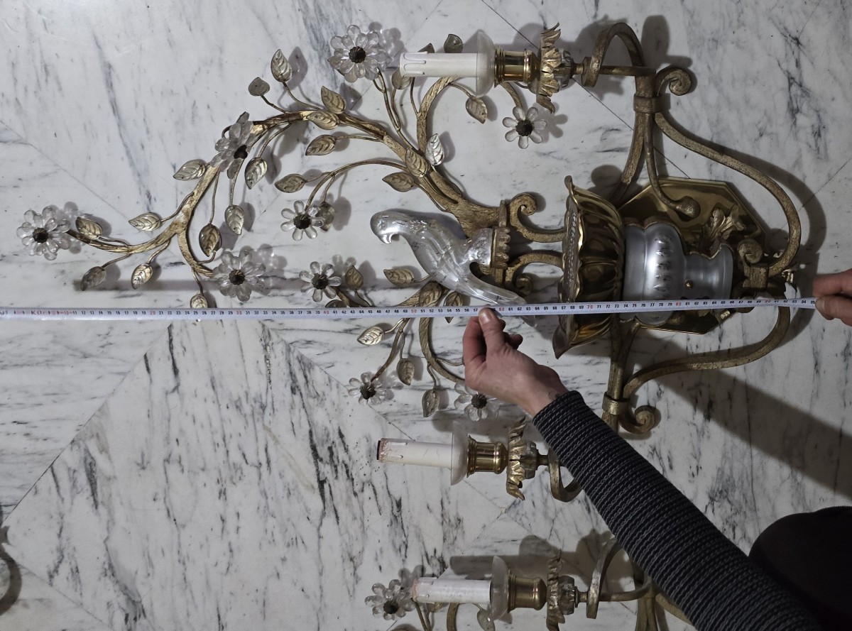 Large Pair Of Vintage Parrot‑themed Wall Sconces In Iron And Crystal, Banci, Circa 1980-photo-5