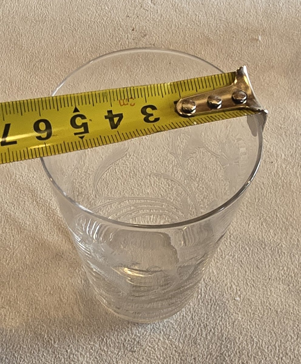 ensemble aiguière et 4 verres Art  Nouveau verre souffé et gravé-photo-4