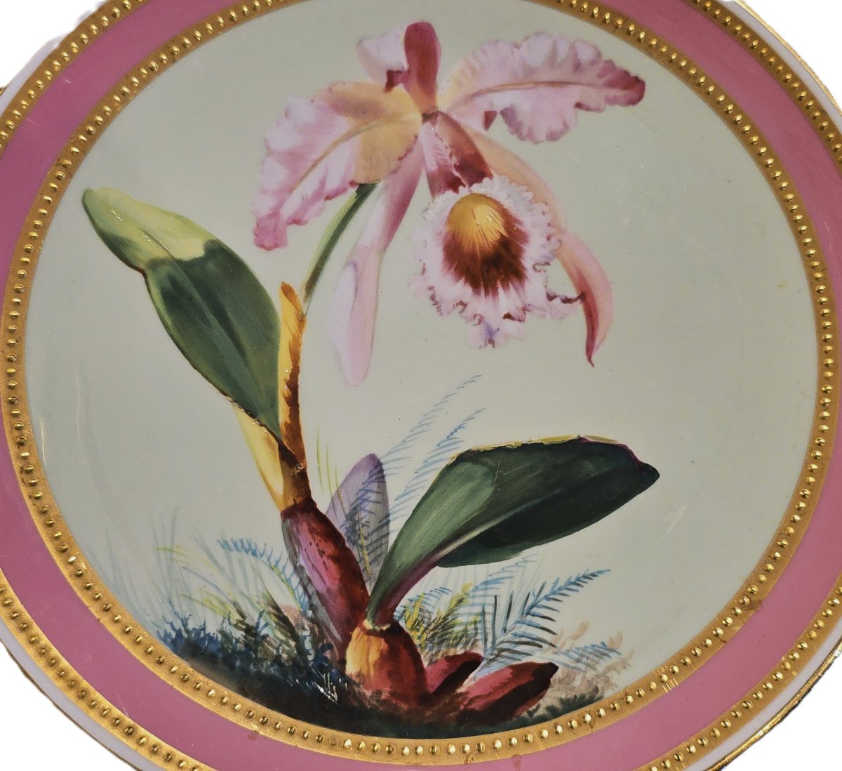 Old Antique Hand-painted Porcelain Plate, James Green & Nephew, London, 19th Century.-photo-2