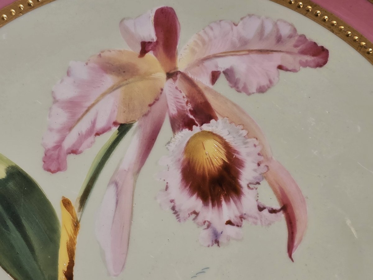 Old Antique Hand-painted Porcelain Plate, James Green & Nephew, London, 19th Century.-photo-3