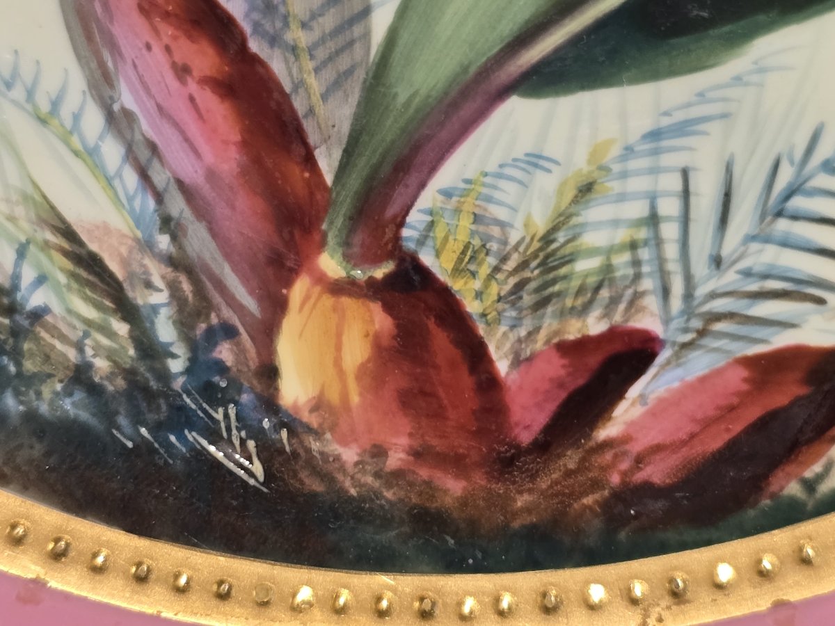 Old Antique Hand-painted Porcelain Plate, James Green & Nephew, London, 19th Century.-photo-1