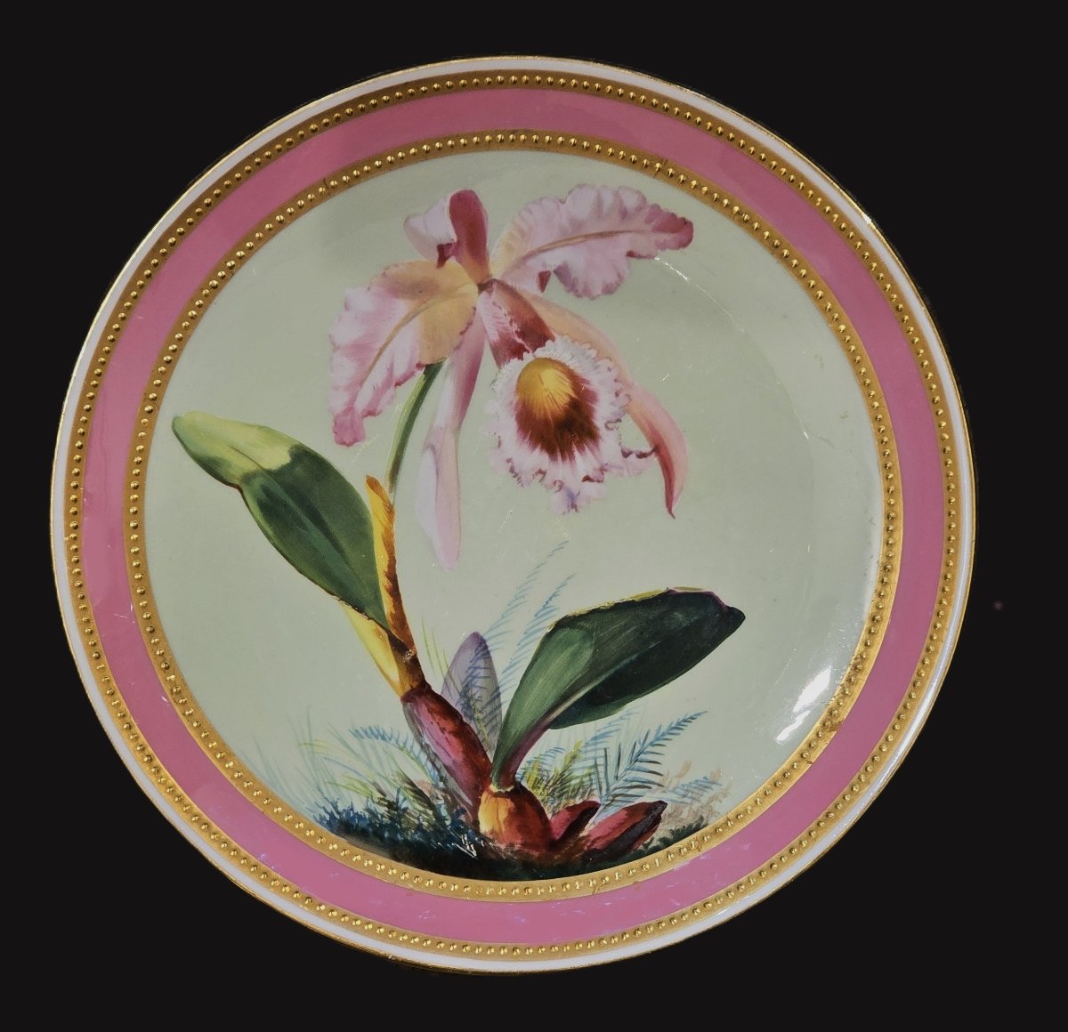 Old Antique Hand-painted Porcelain Plate, James Green & Nephew, London, 19th Century.