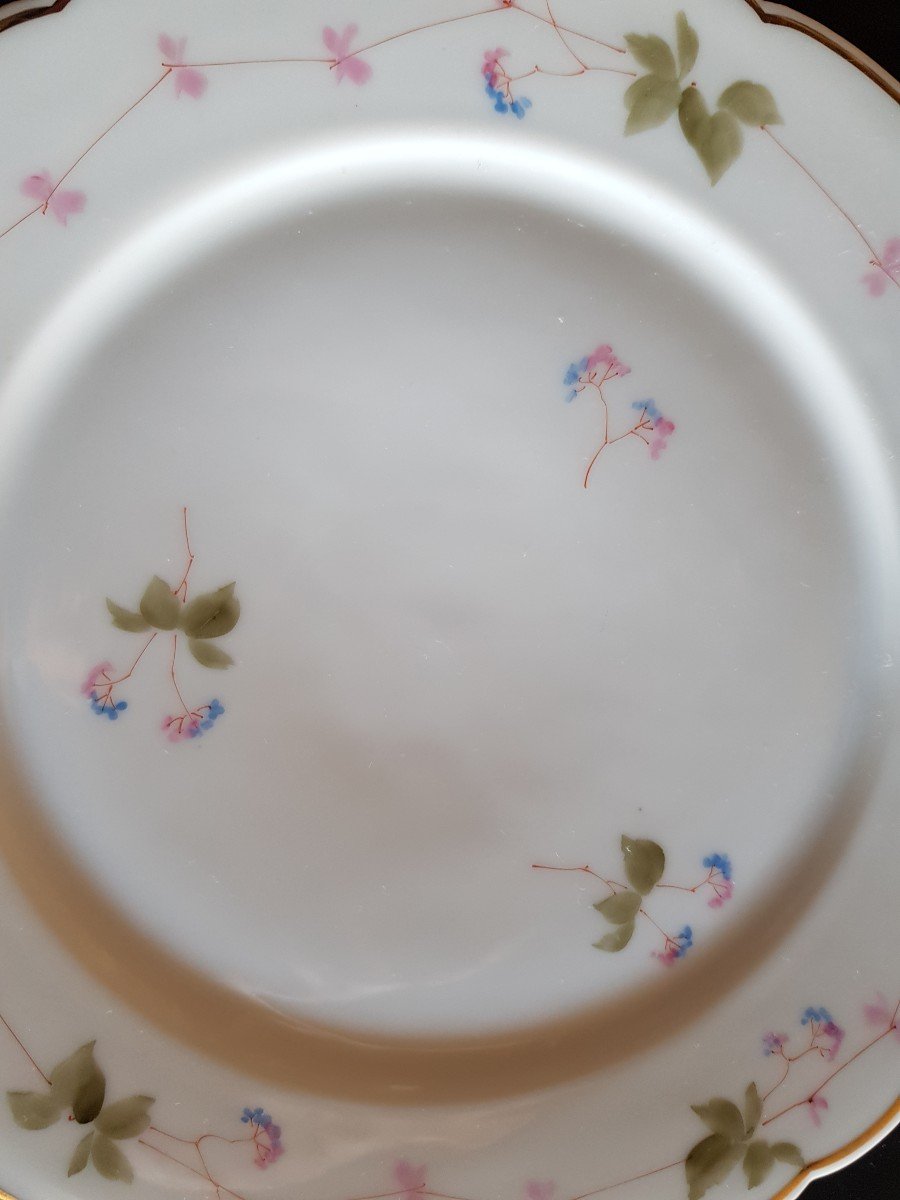 Suite 7 Porcelain Plates Ginori XIX S Hand Decor-photo-3