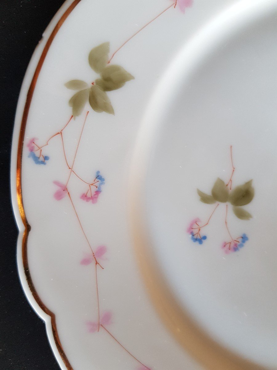 Suite 7 Porcelain Plates Ginori XIX S Hand Decor-photo-5