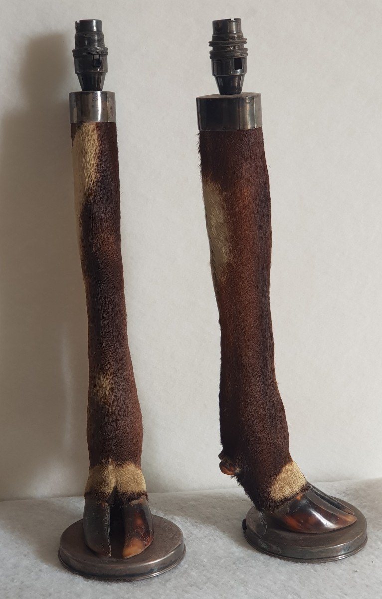 Paire De Pieds De Lampe Taxidermie Ancienne Pattes De Cervidés et argent massif-photo-2