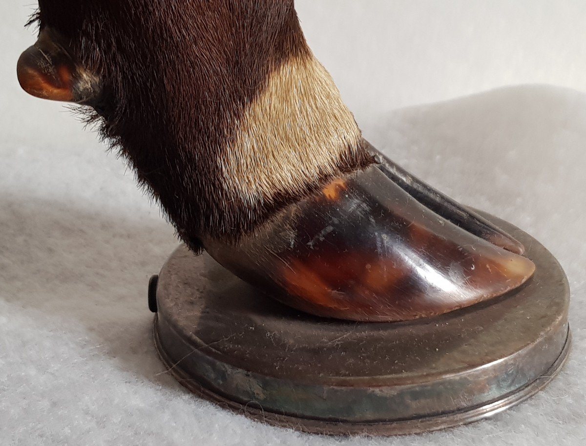 Paire De Pieds De Lampe Taxidermie Ancienne Pattes De Cervidés et argent massif-photo-2