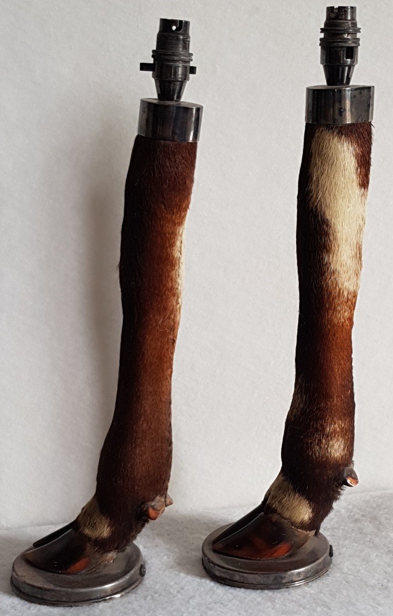 Paire De Pieds De Lampe Taxidermie Ancienne Pattes De Cervidés et argent massif